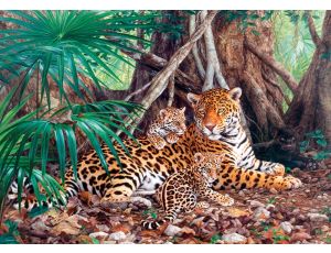 Puzzle Jaguary W Dżungli Castorland 3000el - image 2